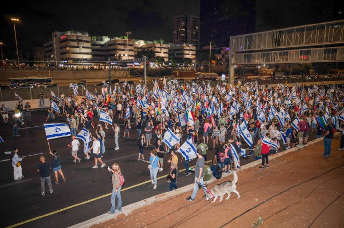קשה להכריע אם יש מקום במחאה גם לחסימת כבישים. מחאה באיילון
