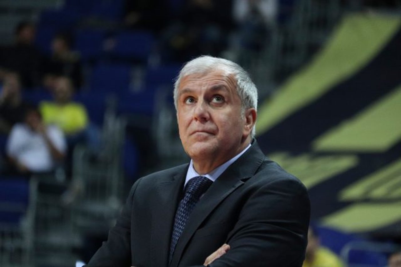 ז'ליקו אובראדוביץ'