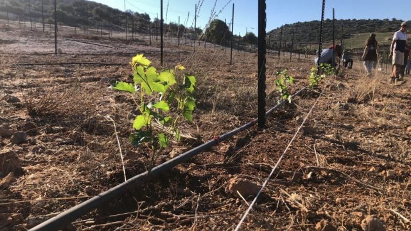 30 יום לפיגוע בעלי: כך הונצחו הנרצחים