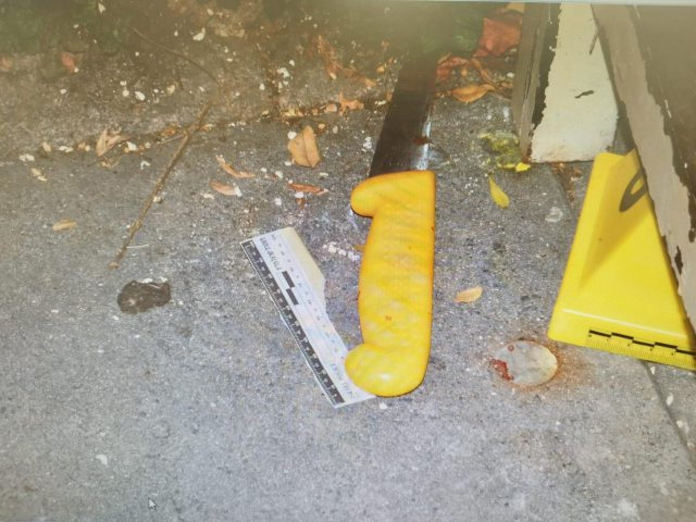פוענח הפיגוע בגילה: הוגשה הצהרת תובע נגד המחבלים