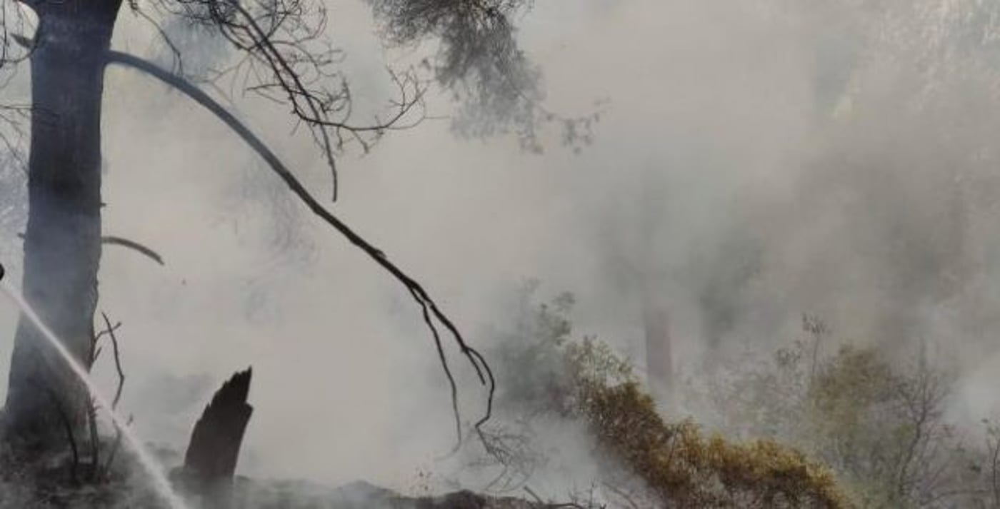 השריפה בקריית יערים