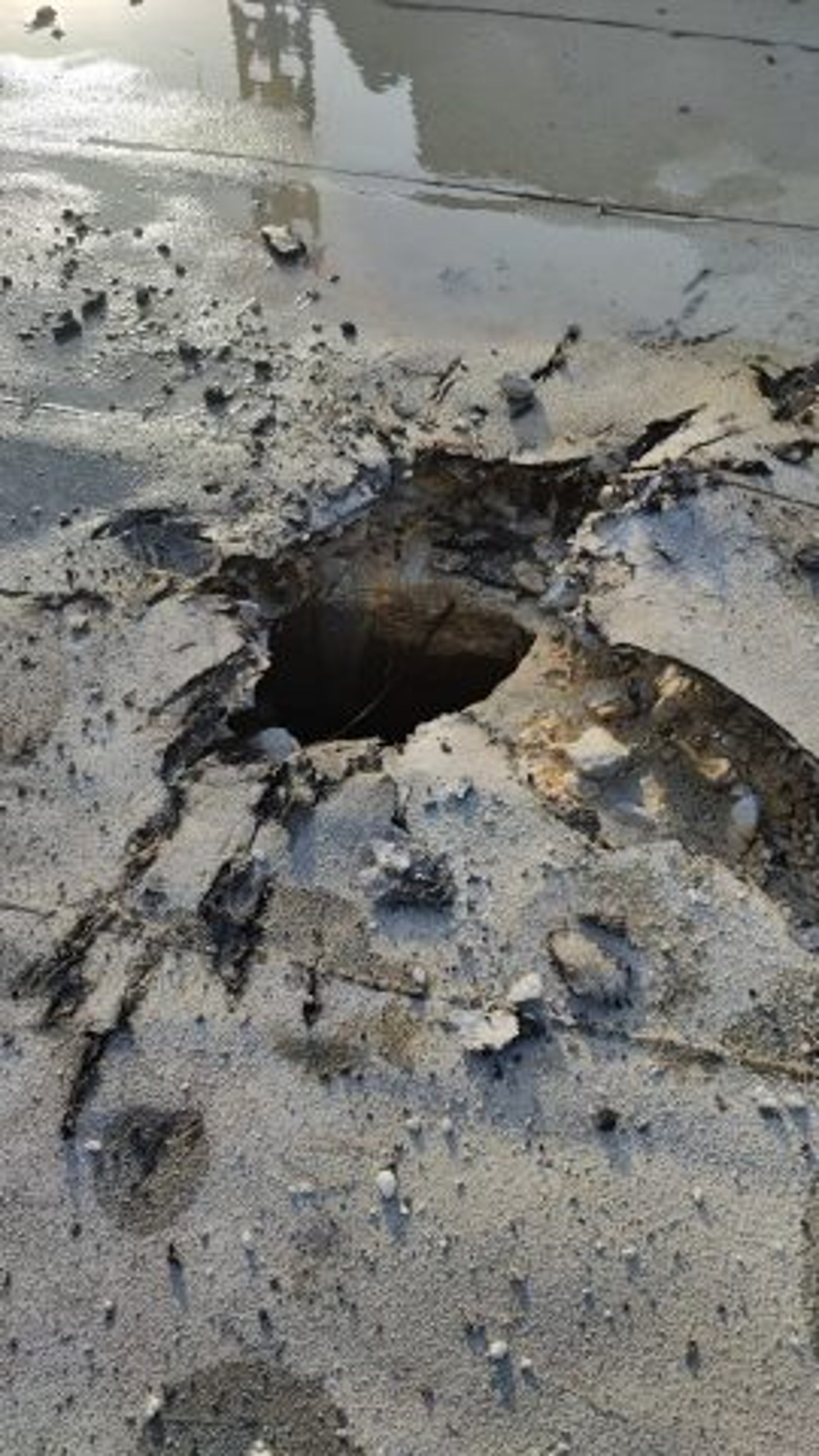 במטחים האחרונים: פגיעה במוזיאון השואה ביד מרדכי