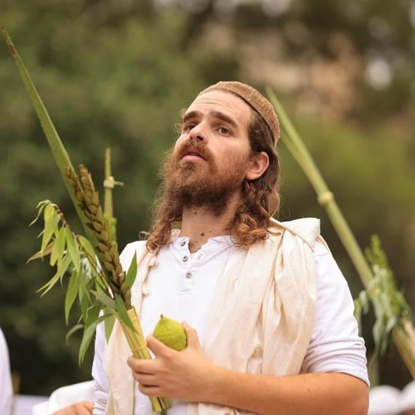 אריאל דנינו
