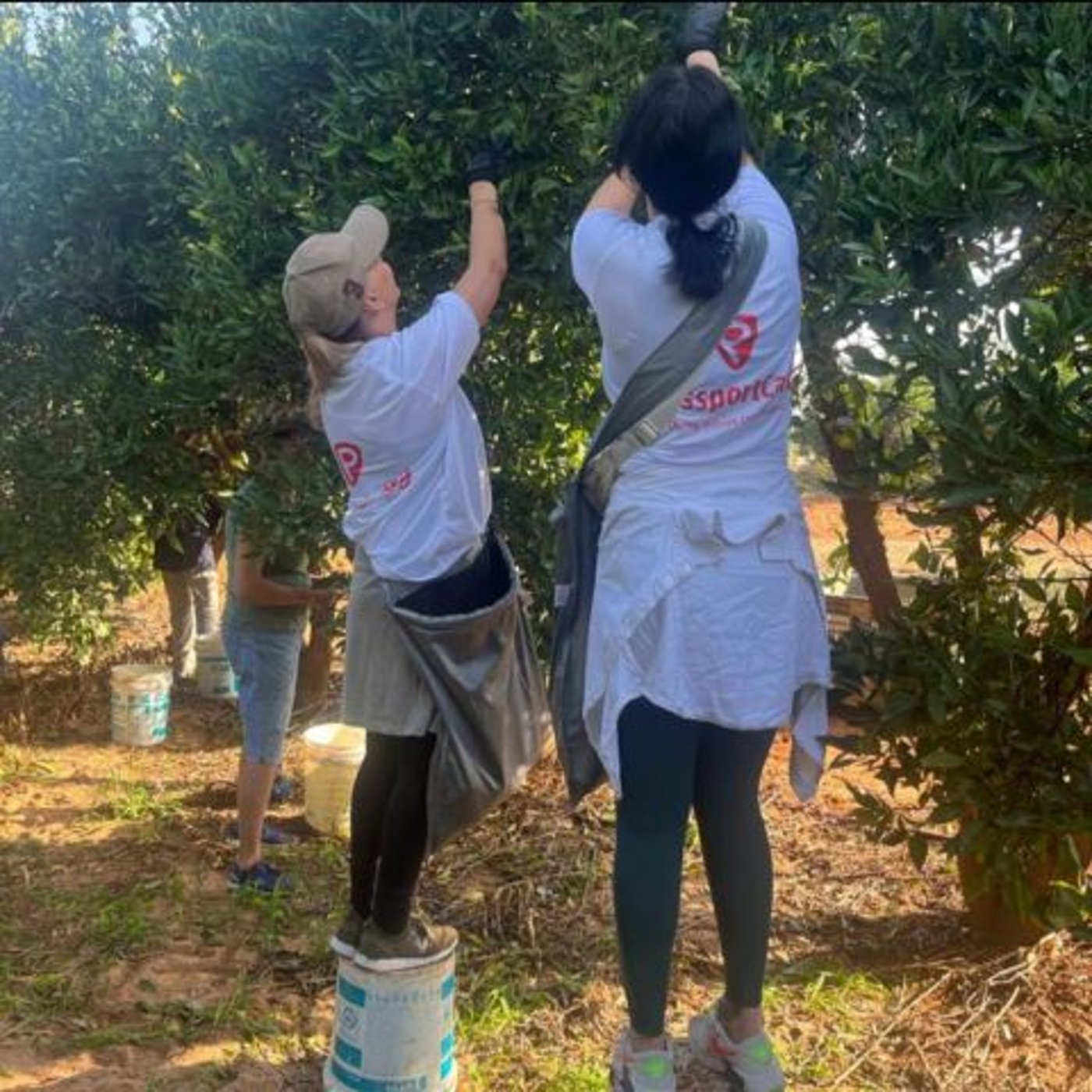 פספורטכארד מגדילה את תקציב התרומות שלה למאמץ הלחימה