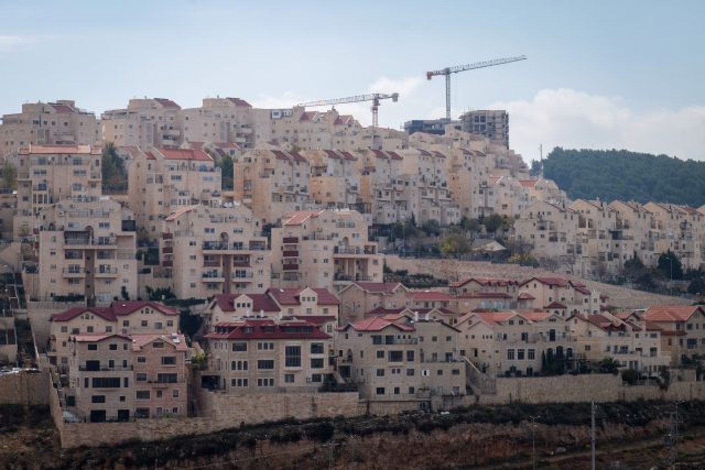 שכונת הזית באפרת