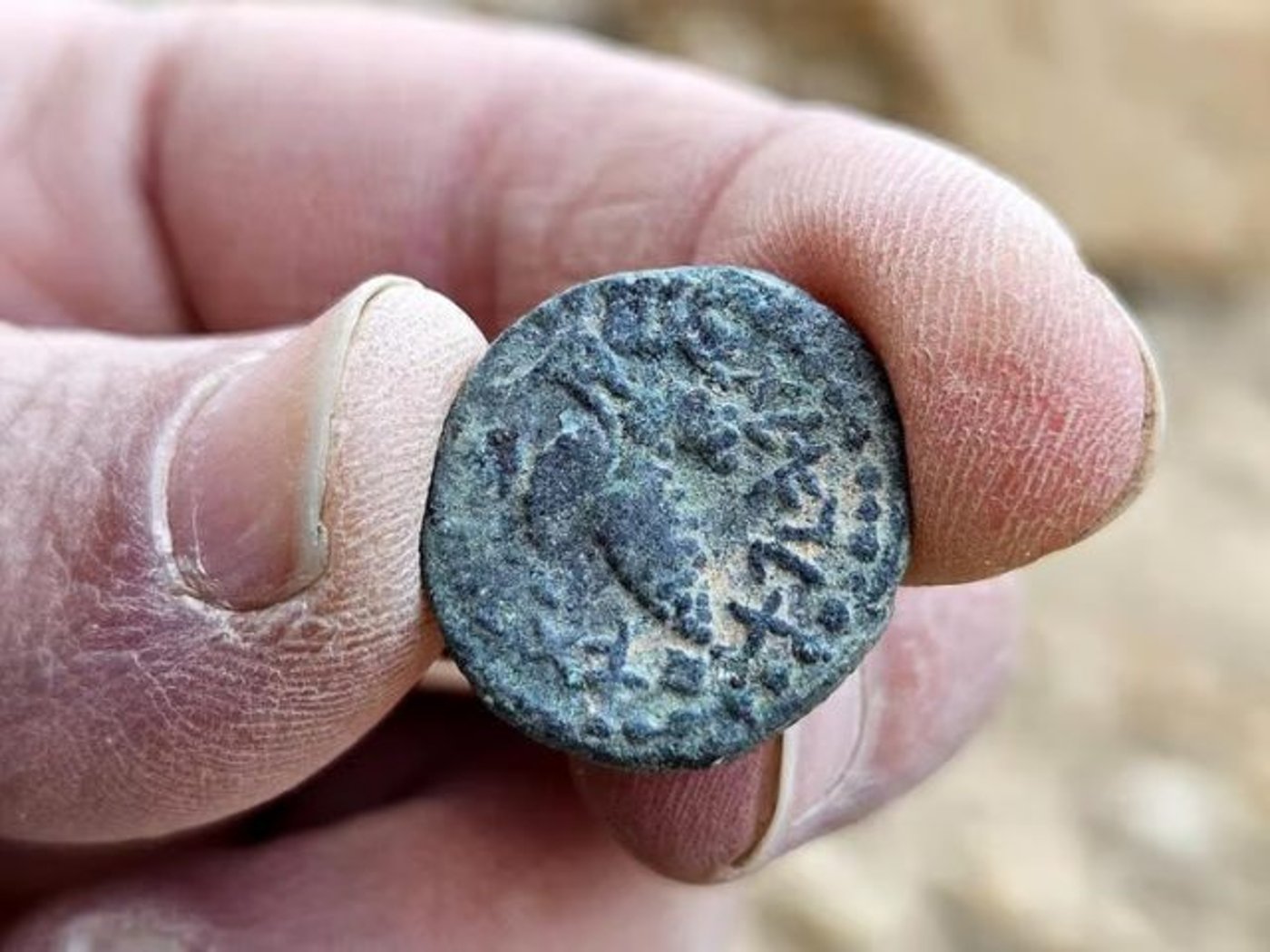 סיון רהב מאיר: אם מטבע היה יכול לדבר