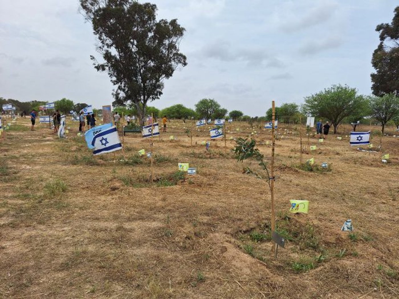 נטיעות לזכרם של הנרצחים