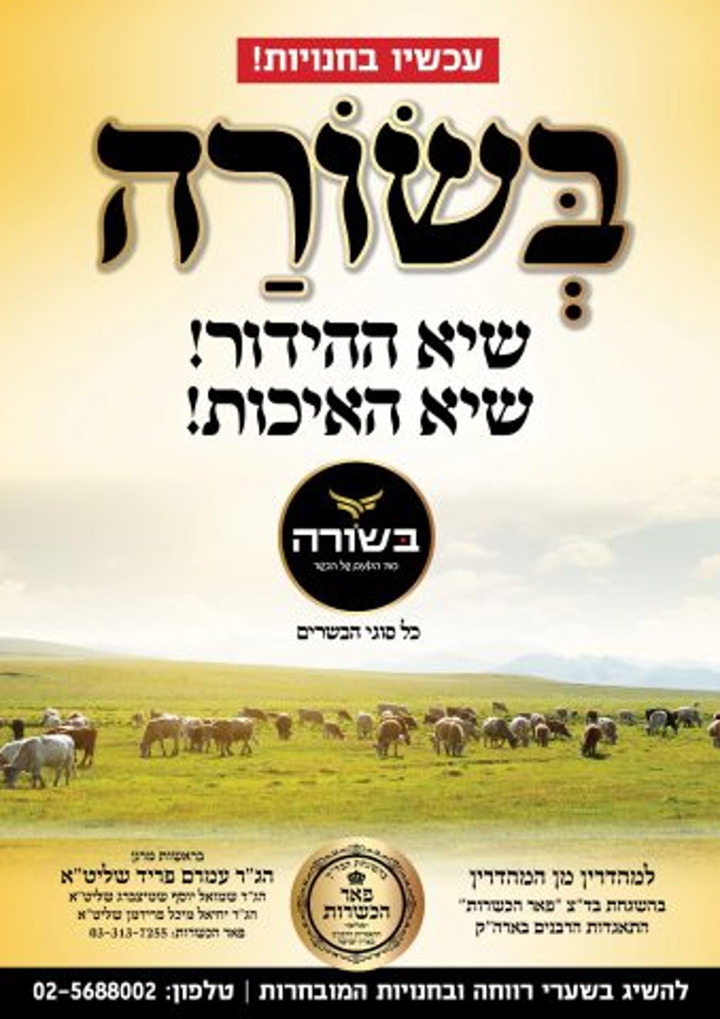מותג הבשרים המהודר "בשורה" מתרחב: מהיום ניתן להשיג גם ב'שערי רווחה'