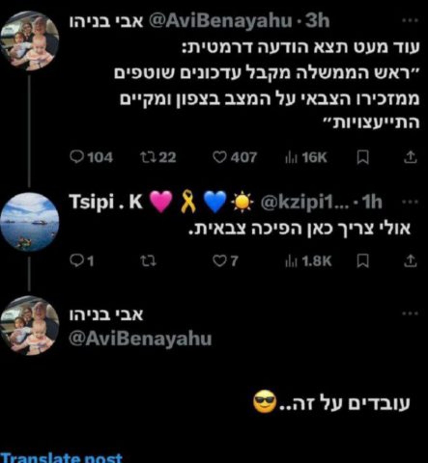 הפיכה צבאית? דובר צה"ל לשעבר: "עובדים על זה"