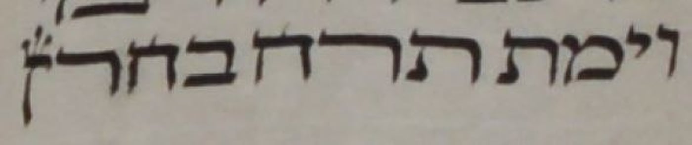 הנון ההפוכה בסוף פרשת נח