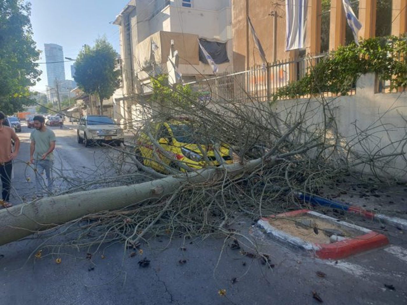 תל אביב: עץ קרס על ניידת מד"א; הצוות ניצל. צפו