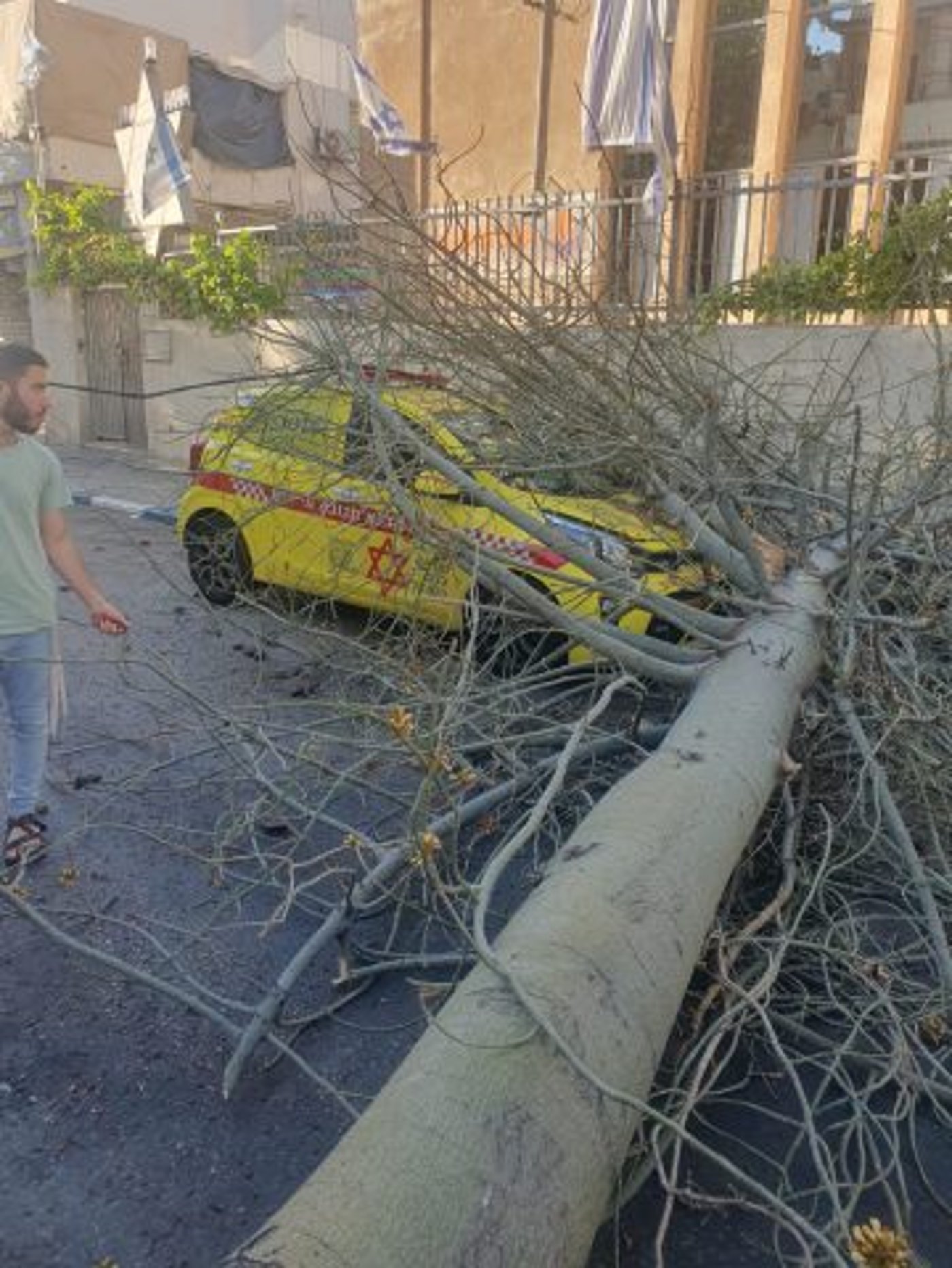תל אביב: עץ קרס על ניידת מד"א; הצוות ניצל. צפו
