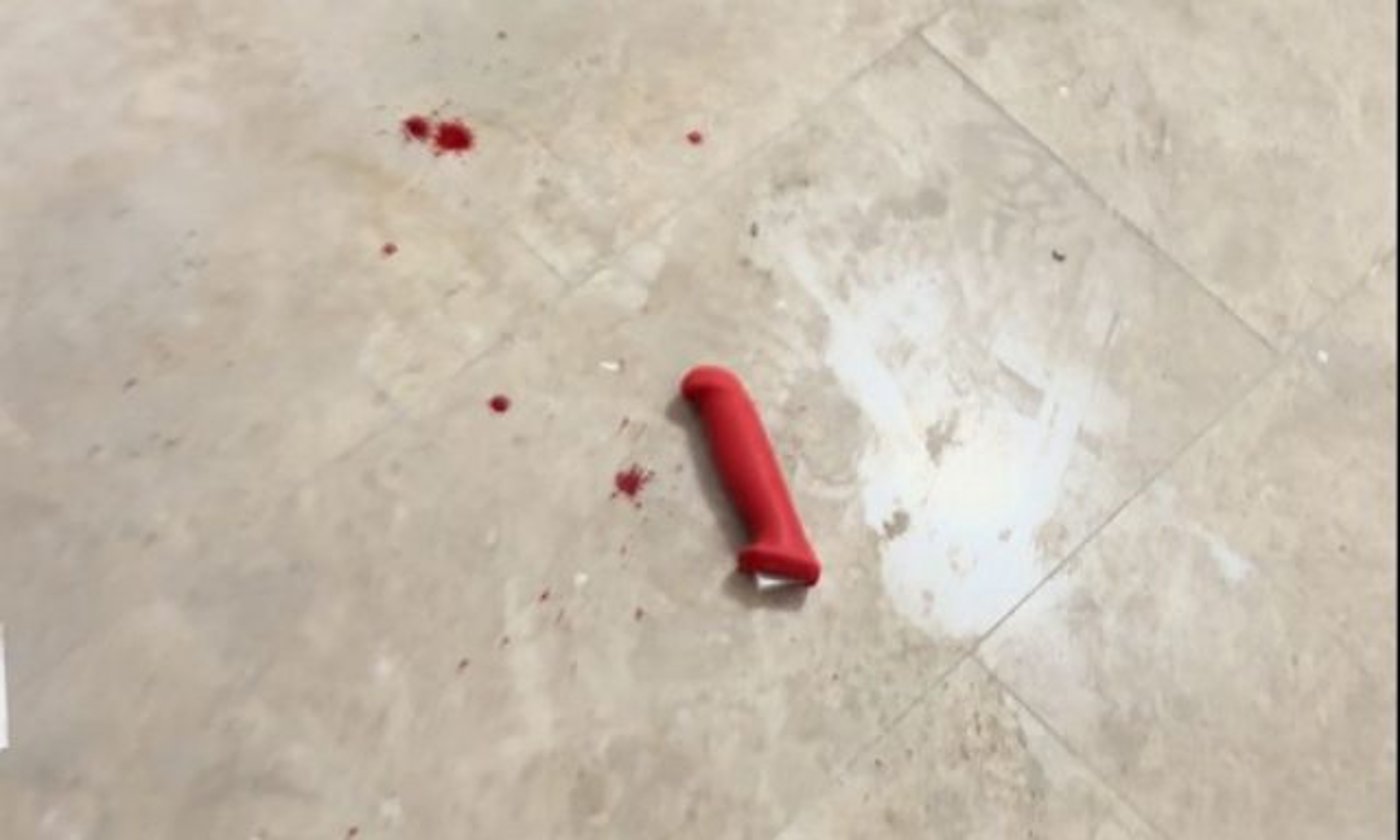 הסכין ששימש את המחבל