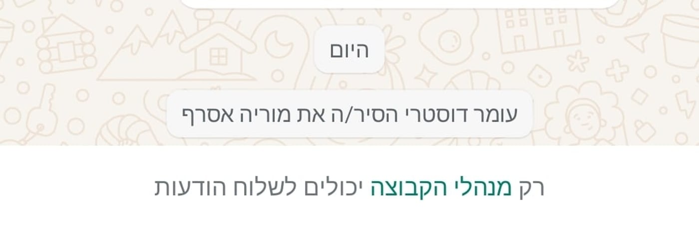 מוריה אסרף הוסרה מקבוצות הדוברות של נתניהו, זו הסיבה