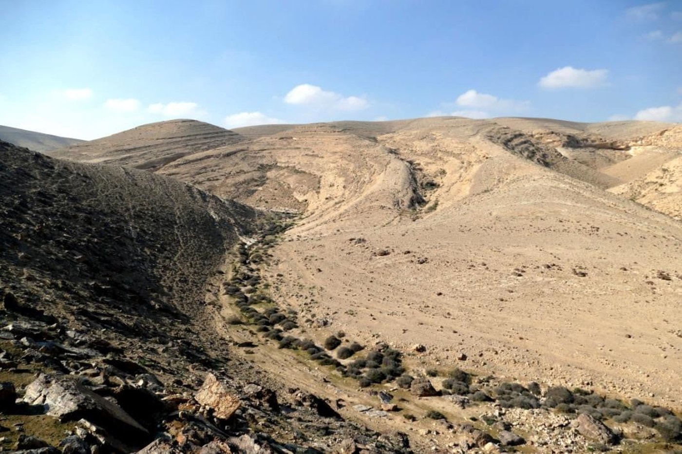 "השלכות סביבתיות קשות": עתירה הוגשה נגד בניית השכונה בדימונה