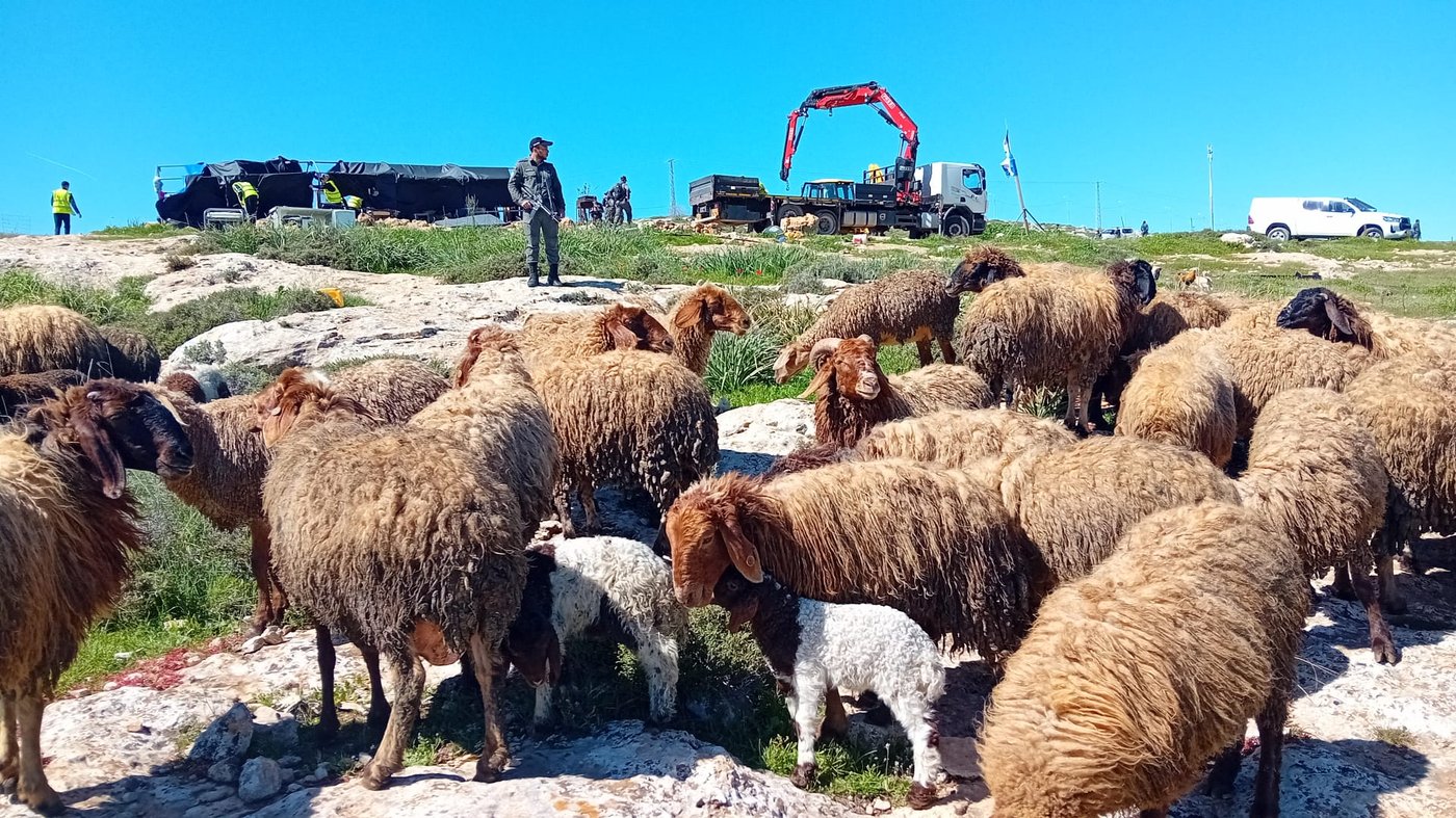 תיעוד של אחד מעשרות הפינויים שהגבעה עברה בשנה וחצי האחרונות