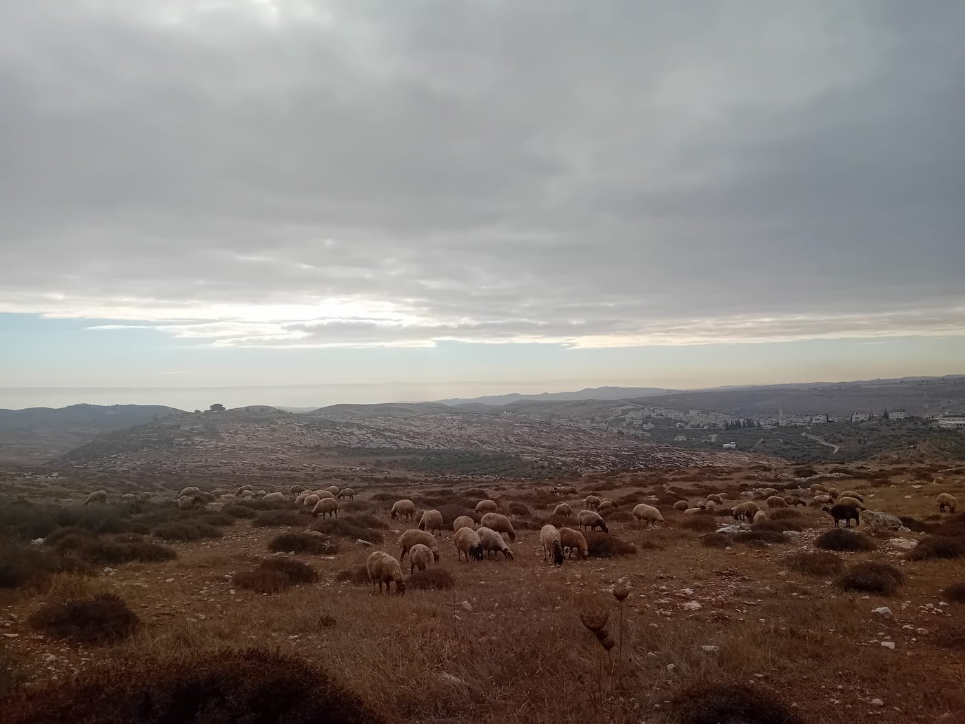 החוות והגבעות שמסכלות את תוכנית פיאד: פרק 3 – גבעת שדה יונתן
