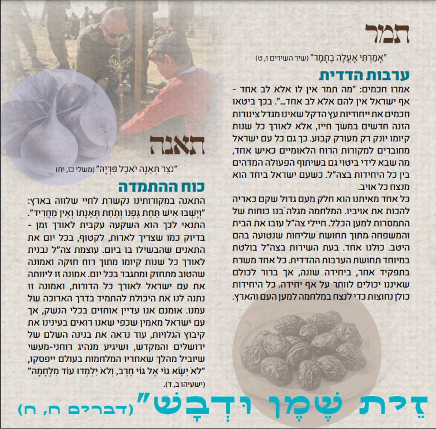 סדר ט"ו בשבט: מה אוכלים? מה מברכים? ומה הסגולה?