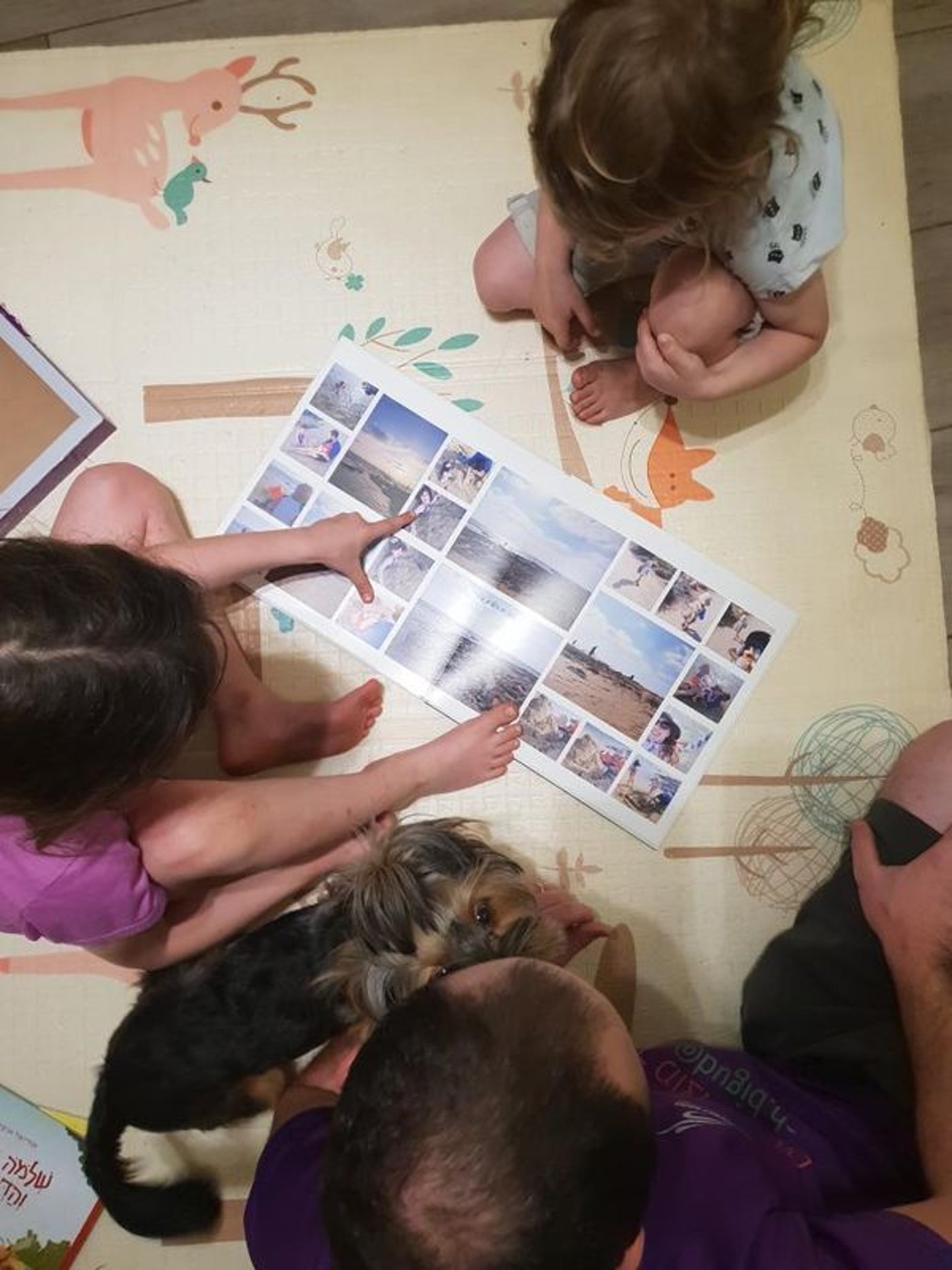 למה תמיד נמשיך לפתח תמונות? החוקרים מסבירים