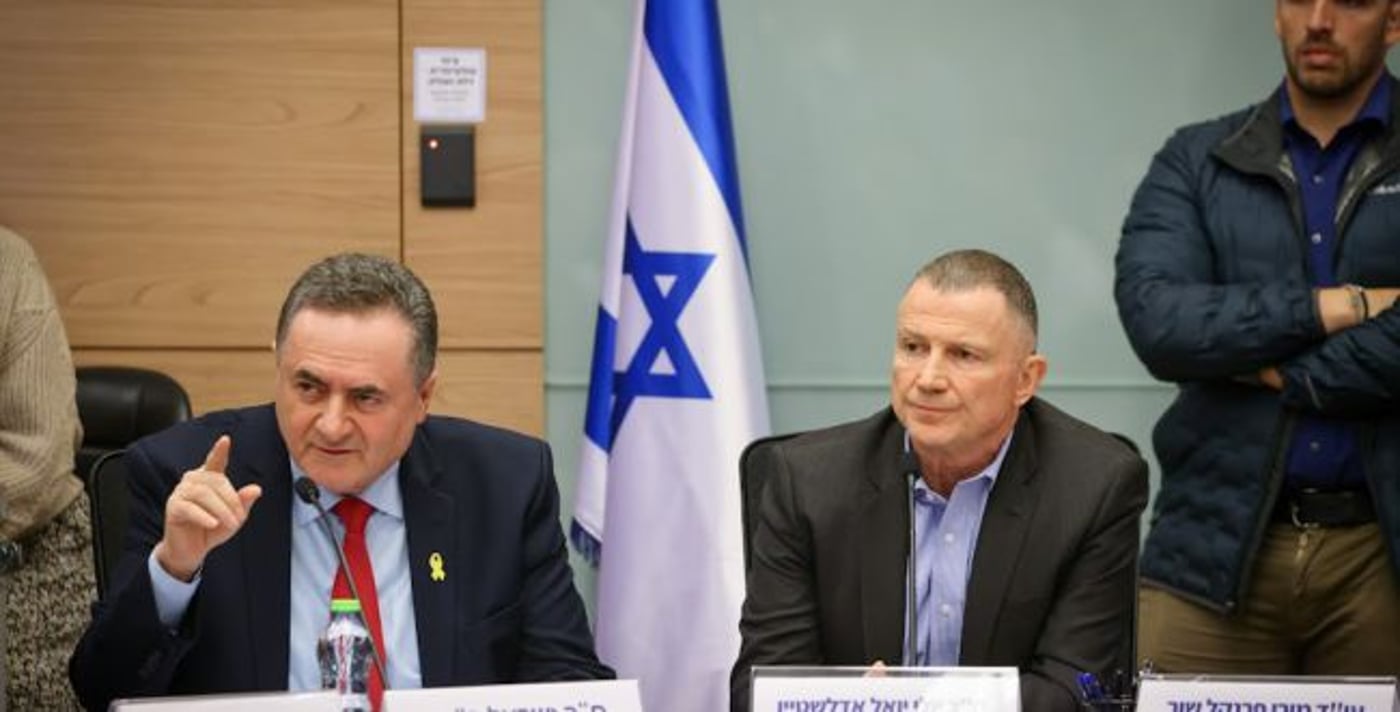 ישראל כ"ץ בוועדת החוץ והביטחון