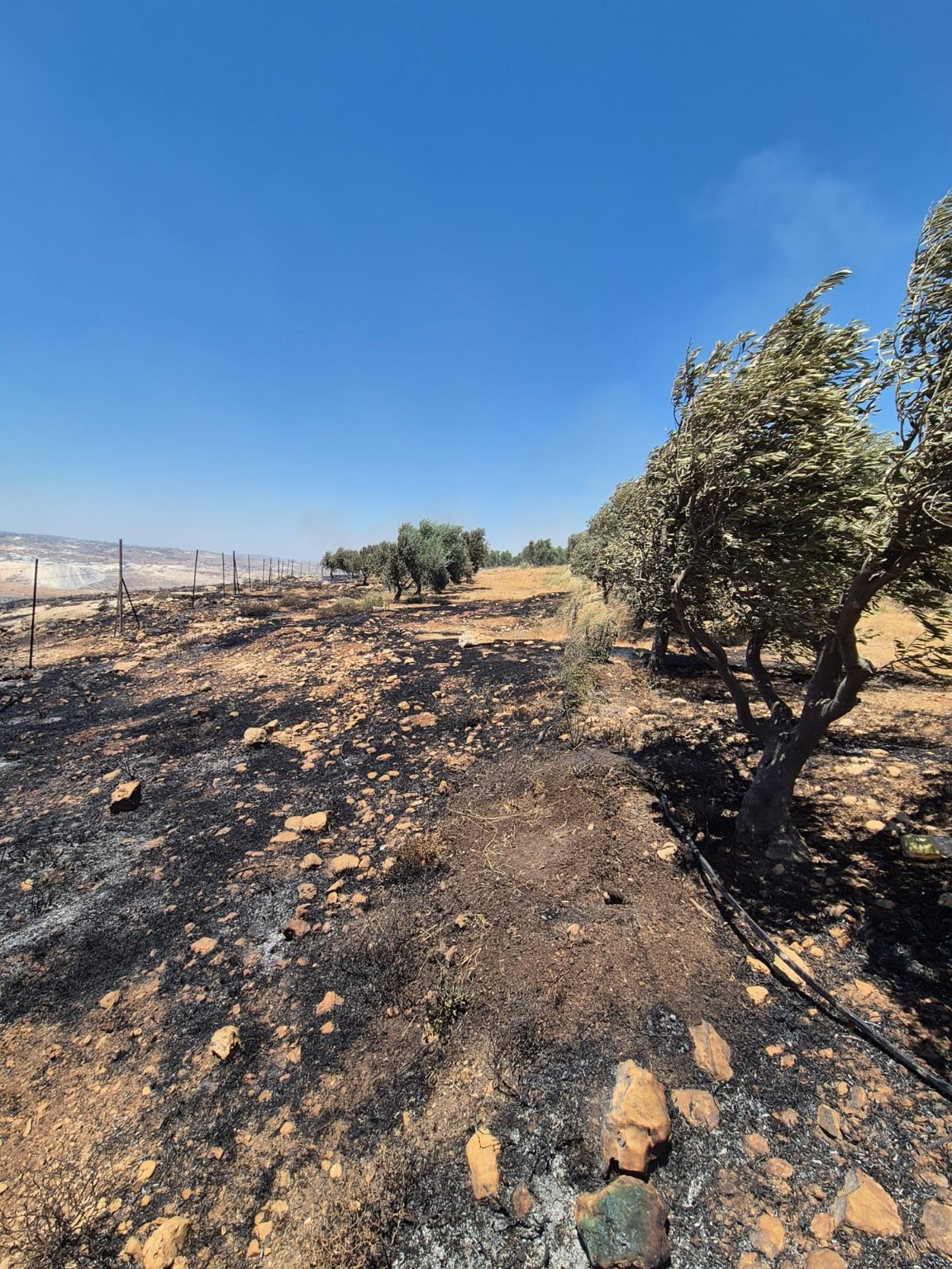 השריפה במיצד: עשרות תלמידים תקועים בדרכם הביתה