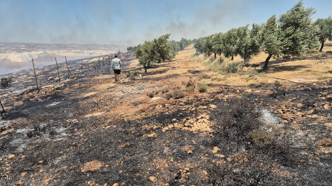 השריפה במיצד: עשרות תלמידים תקועים בדרכם הביתה