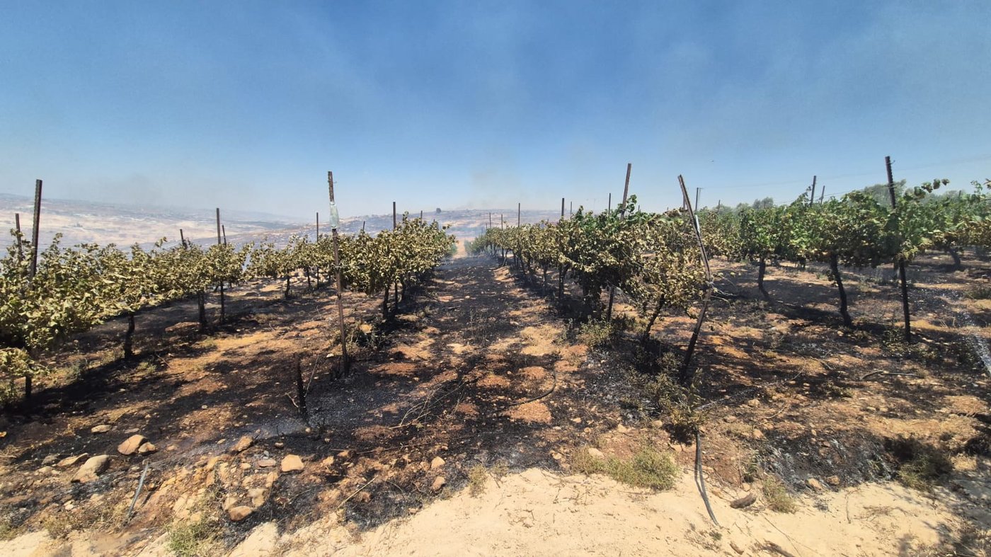 השריפה במיצד: עשרות תלמידים תקועים בדרכם הביתה