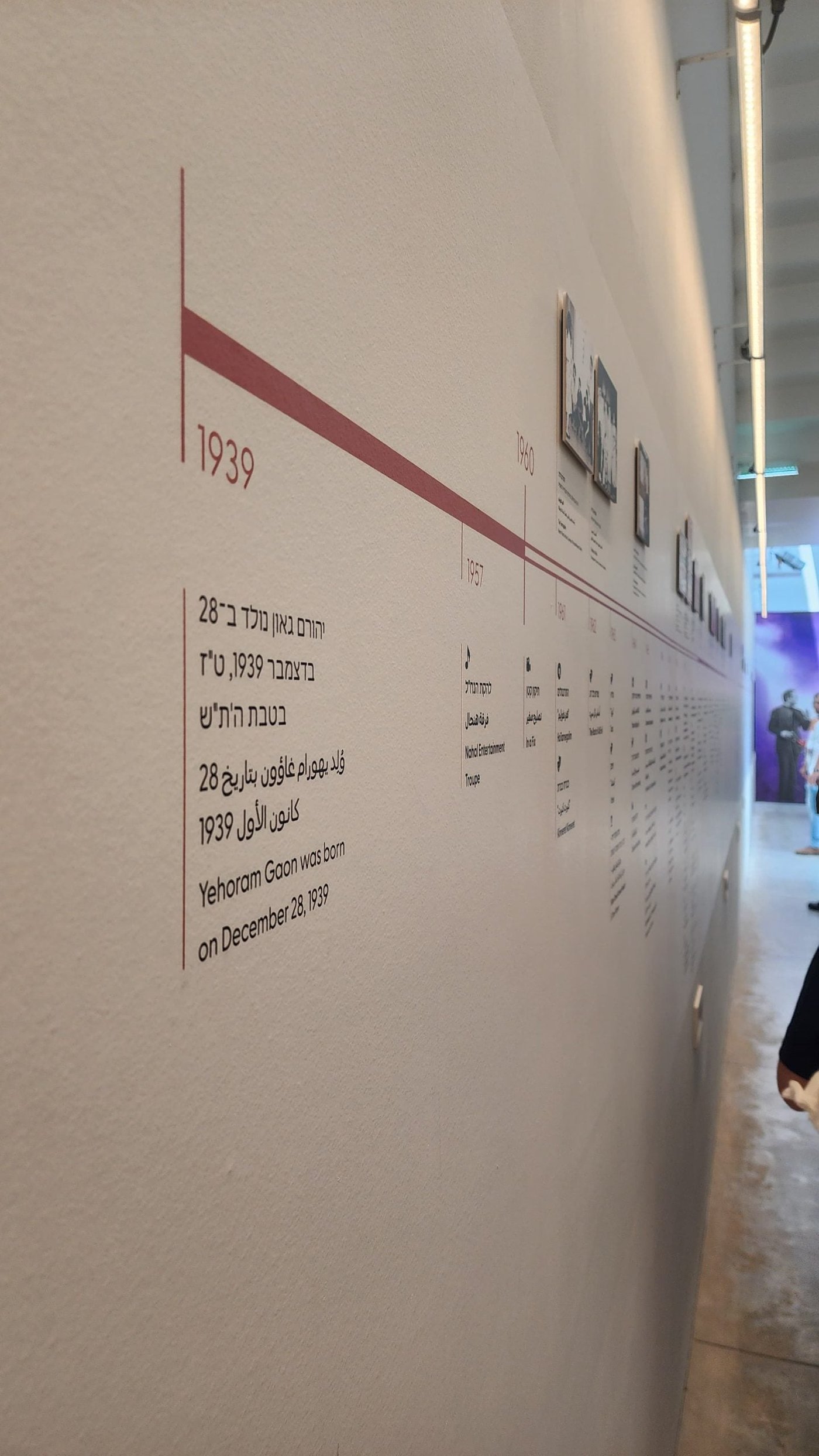 ציר הקריירה של גאון, מלידה ועד היום. נמשך עד אין סוף (צילום סרוגים)