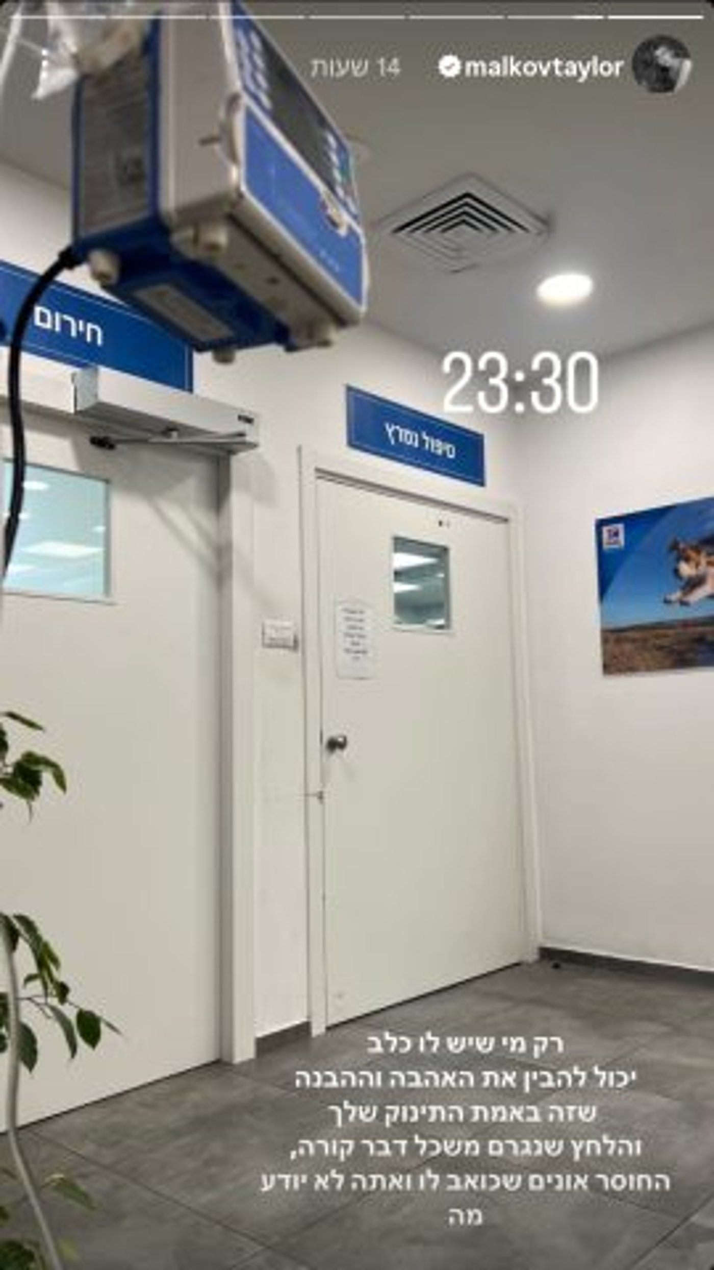(מתוך האינסטגרם של טיילור מלכוב)