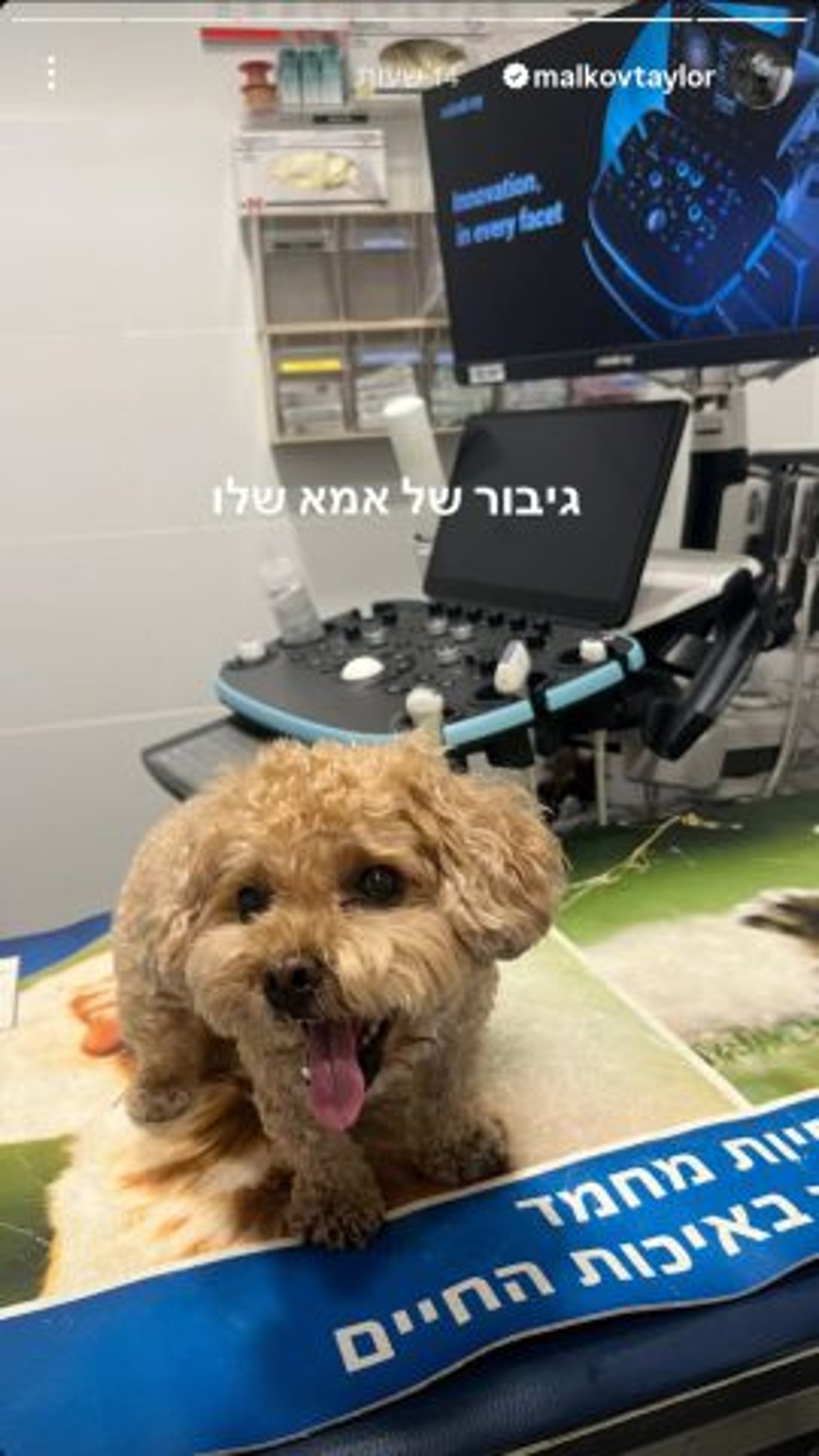 (מתוך האינסטגרם של טיילור מלכוב)