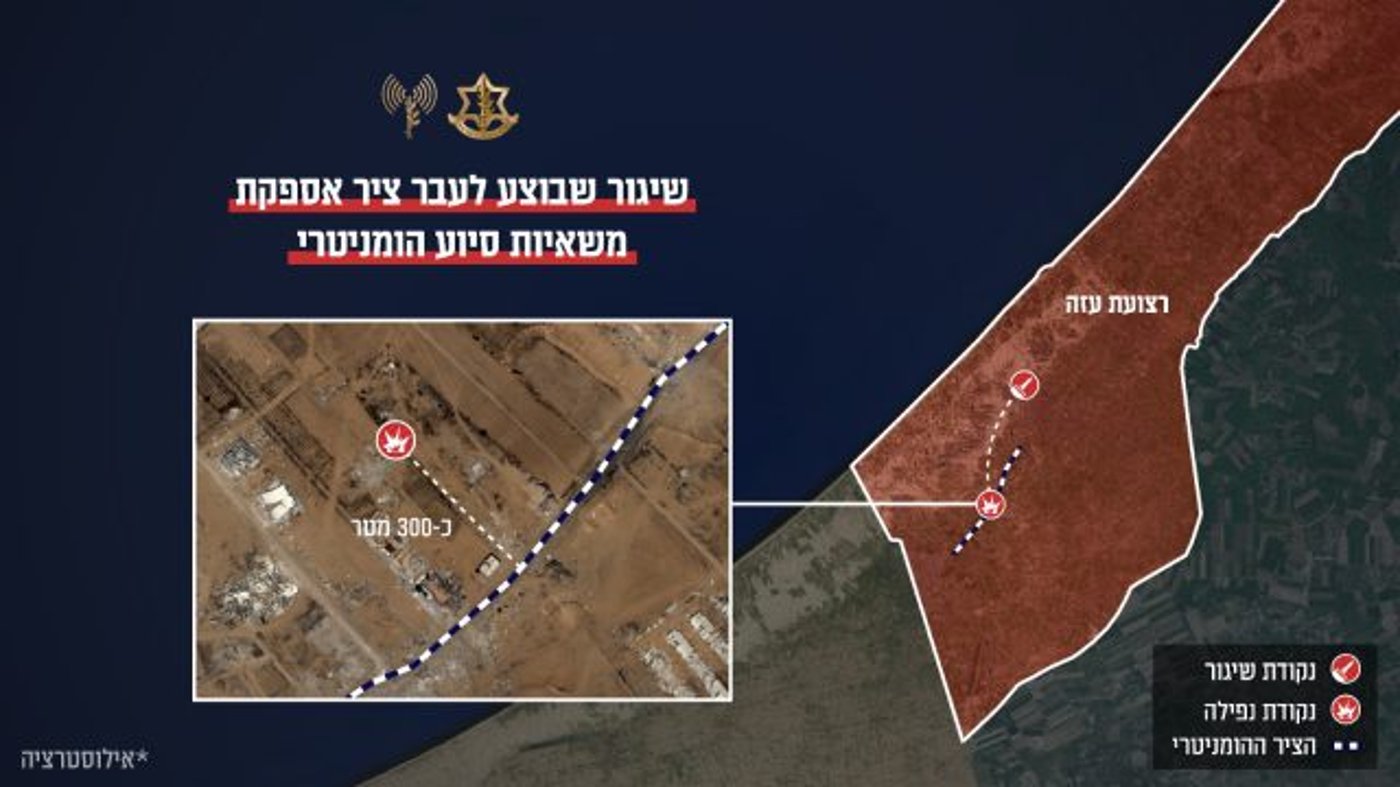 אינפוגרפיקה: דו"צ