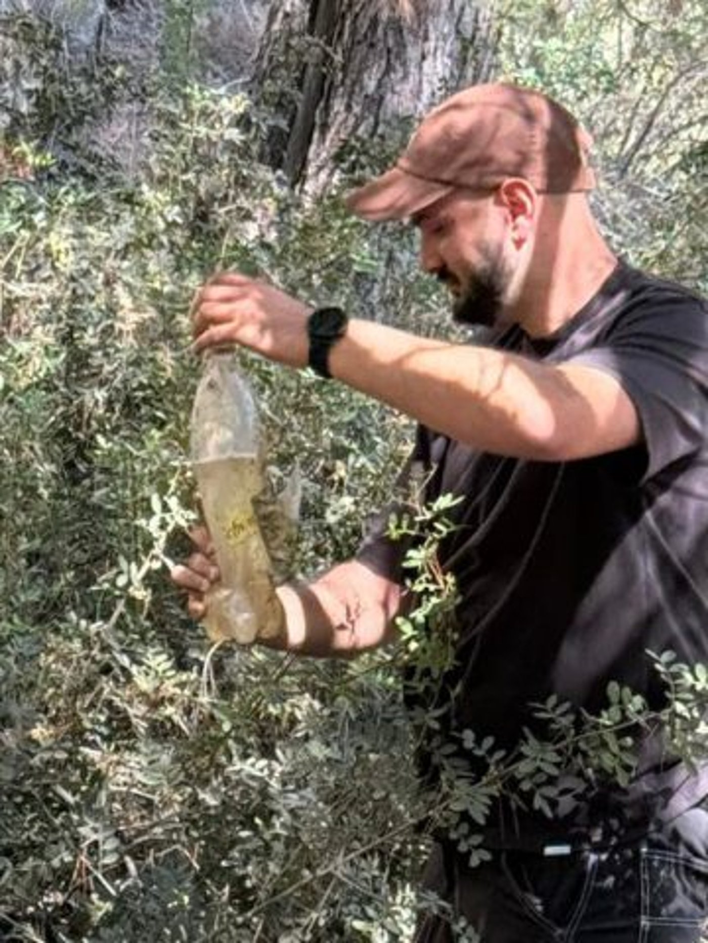 דוברות המשטרה