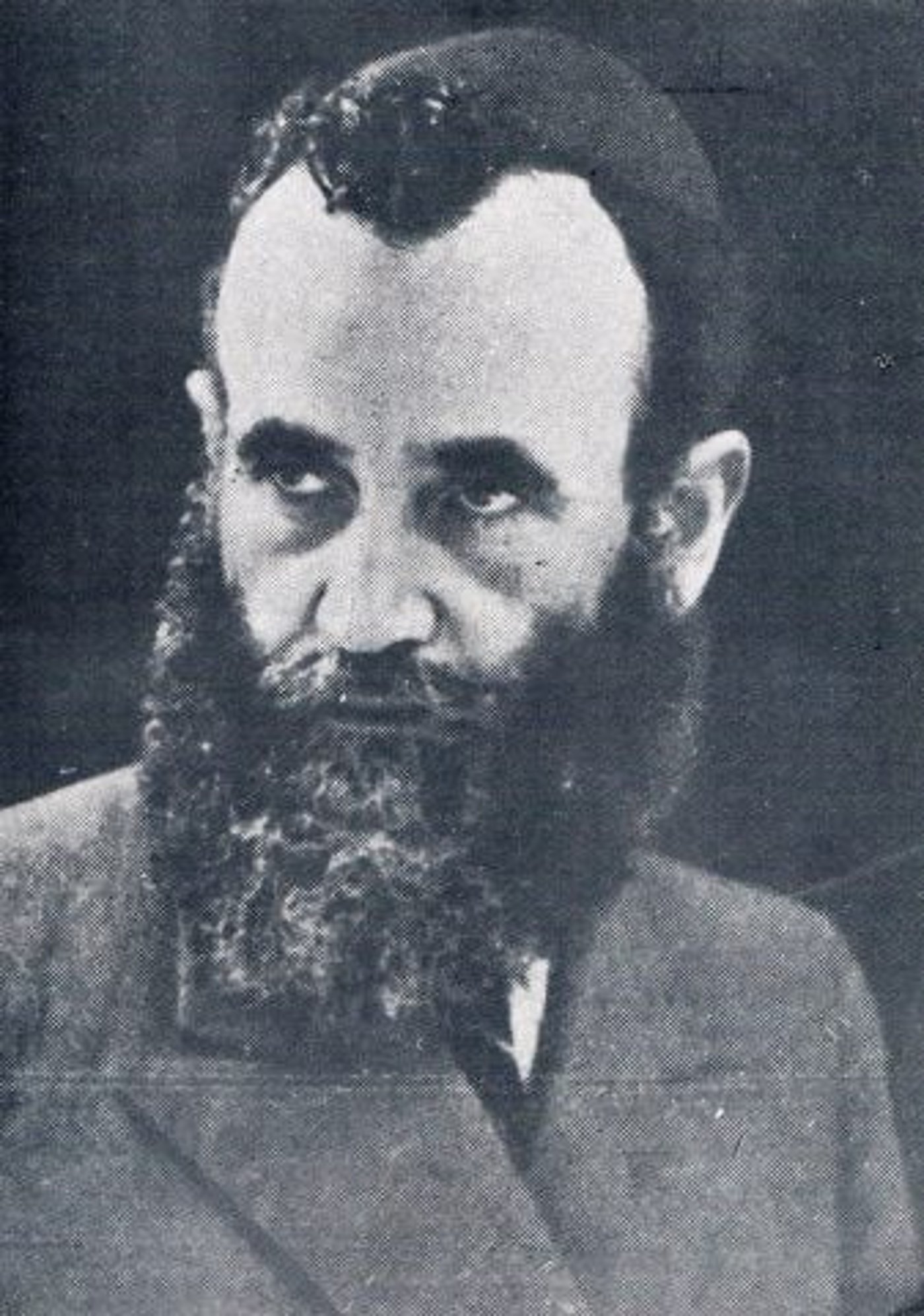 הרב ישעיהו שפירא, האדמו"ר החלוץ (ויקימדיה)