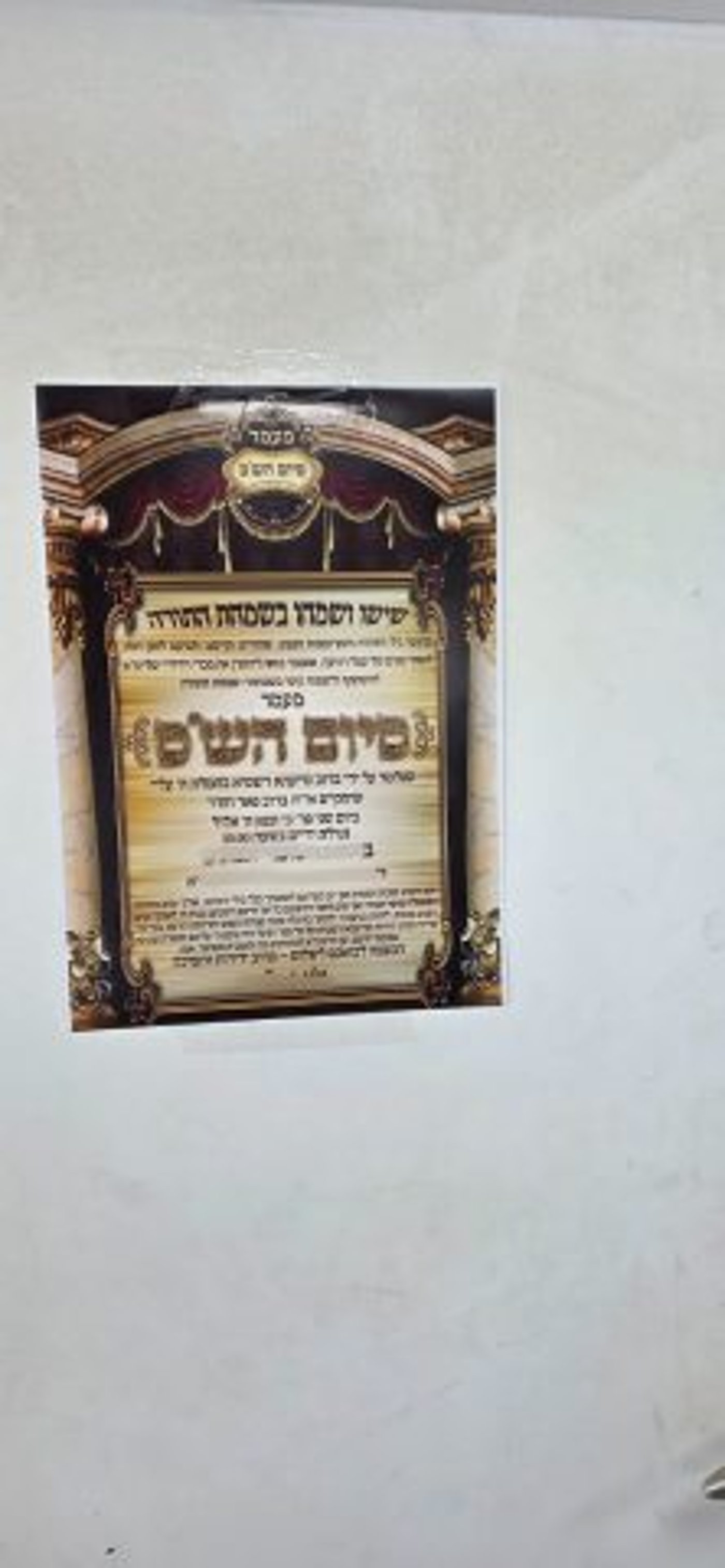 (צילום: חיים גרינבוים)
