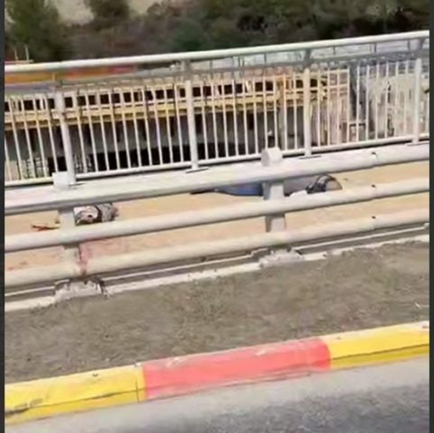 שני המחבלים שביצעו את הפיגוע, אחרי חיסולם