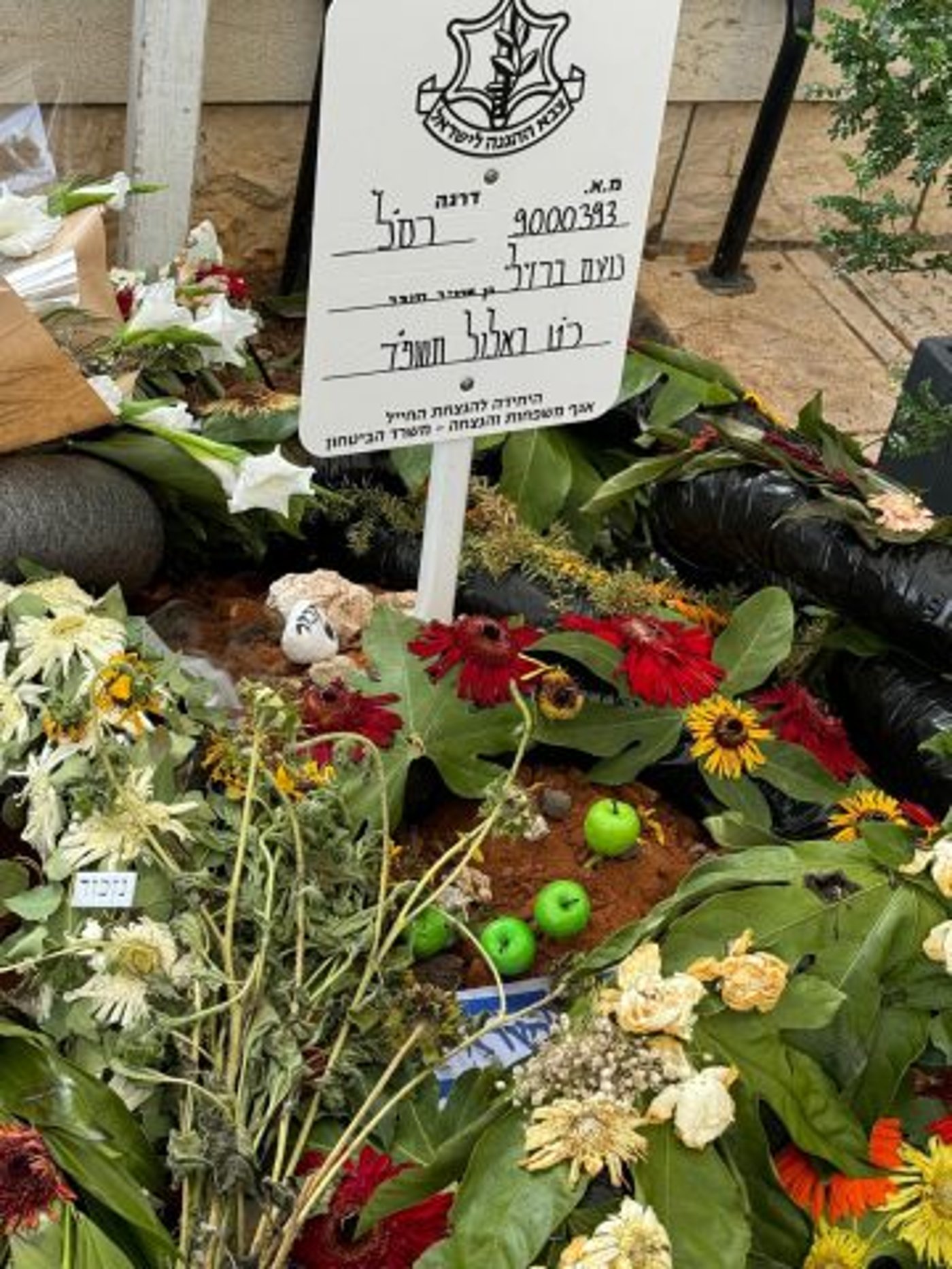 (צילום: באדיבות המשפחה)