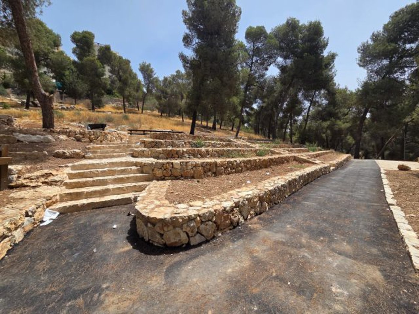 ירושלים נצבעת בירוק: חנוכת יער הר נוף המחודש יוצאת לדרך