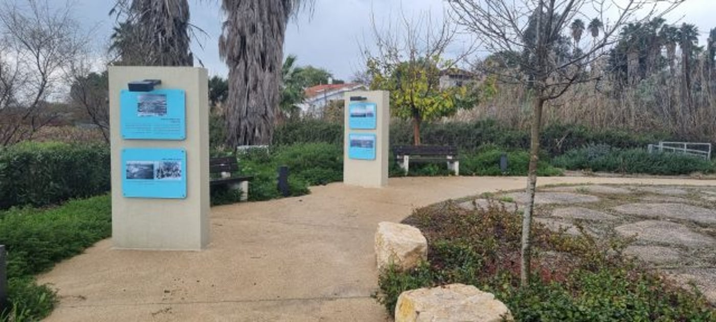 חולתא (צילום קובי פינקלר, סרוגים)