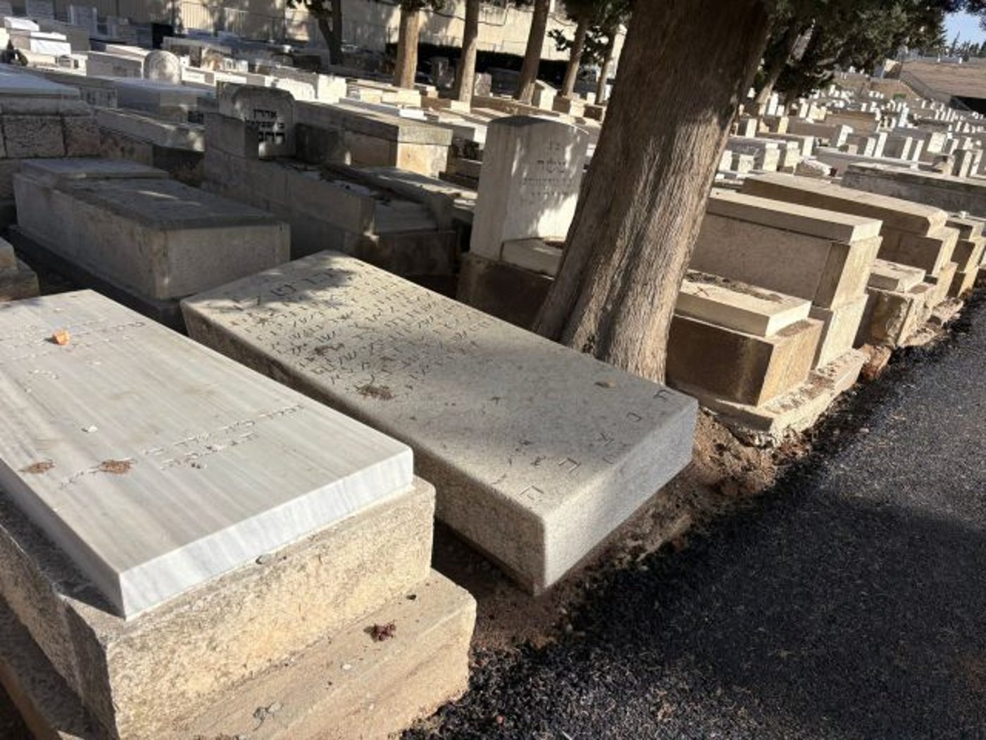 קברים בבית הקברות סנהדריה |