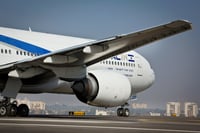 מטוס בנתב"ג. לדעת לקבל את העולים בצורה ראויה (אילוסטרציה: פלאש 90)