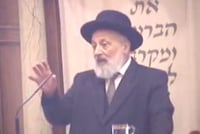 הרב אדלר בעדות אישית: השגחה פרטית בשואה