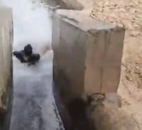 צפו: חבר הכנסת מתן כהנא גולש בעוג'ה
