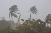 החורף חוזר ובגדול: רוחות, שלג וברד: תחזית מזג האוויר