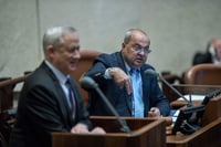 טיבי וגנץ, ארכיון
