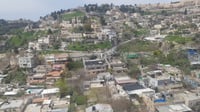 גן המלך