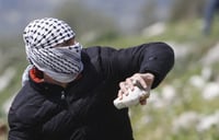 "טרור האבנים נמשך בשל נתק בין המשטרה והצבא"