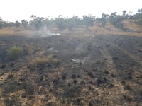 טרור הבלונים: אלפי דונמים של שמורת טבע נשרפו
