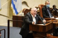 השר דודי אמסלם במליאה