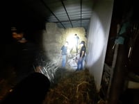 ערבי גנב 12 טון זיתים מחקלאים יהודים בגליל