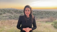 שקד: "אינני יכולה עוד לשתוק, כולנו מפסידים"